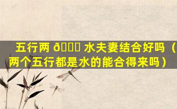 五行两 🐝 水夫妻结合好吗（两个五行都是水的能合得来吗）